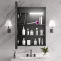 Armoire à pharmacie rectangulaire en fer 20" x 28" avec miroir, éclairage LED à intensité variable, anti-buée et prises – Entièrement assemblée
